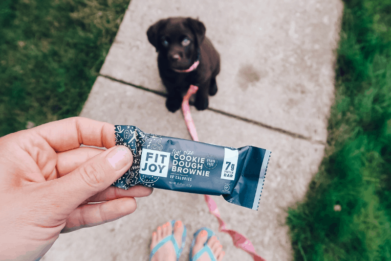 grain free recipes for breakfast that tastes like cookies and is also great for dessert