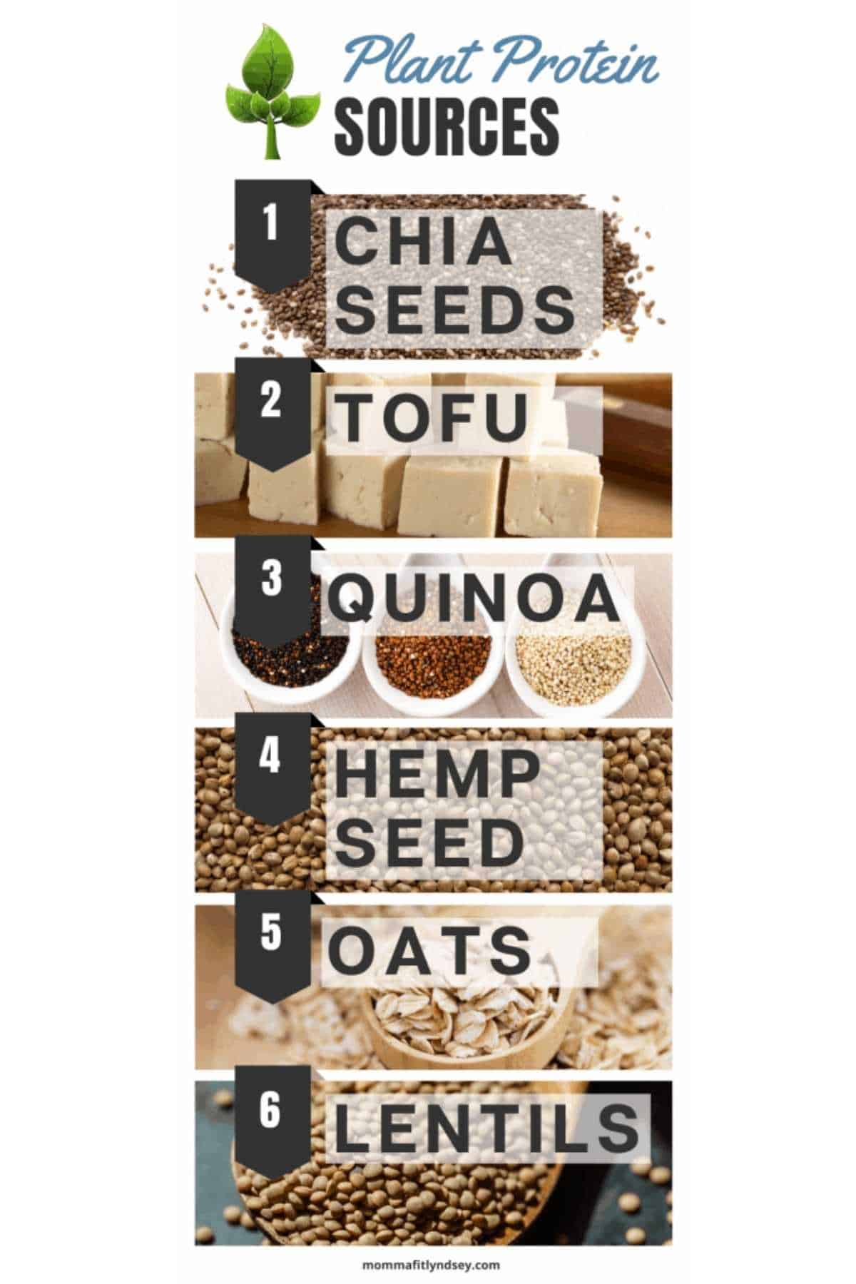 a list of plant based protein sources.