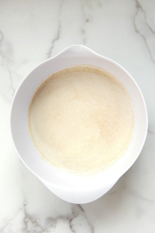 You can make delicious homemade dairy free milk for dairy free, plant based or vegan recipes! Even if you aren't dairy free, learning how to make oat milk is an inexpensive way to make homemade plant based milk that you will love!