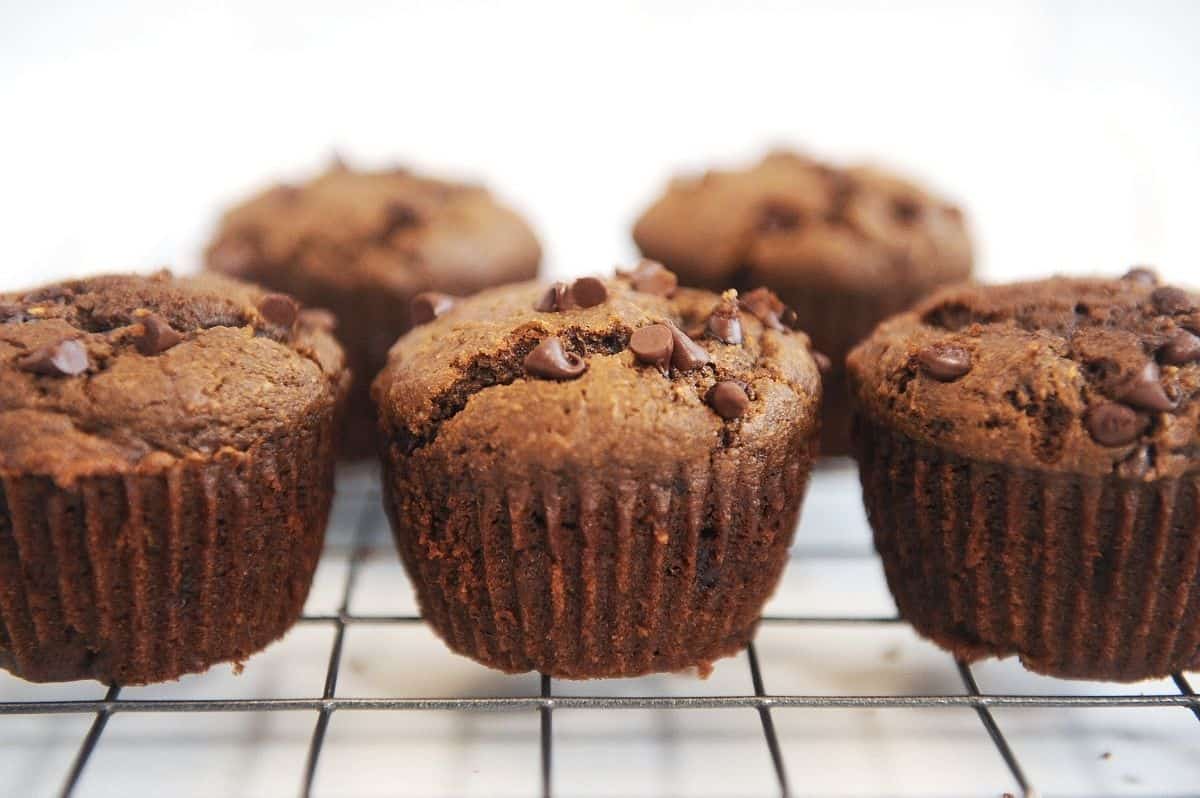 rows of chocolate zucchini muffins