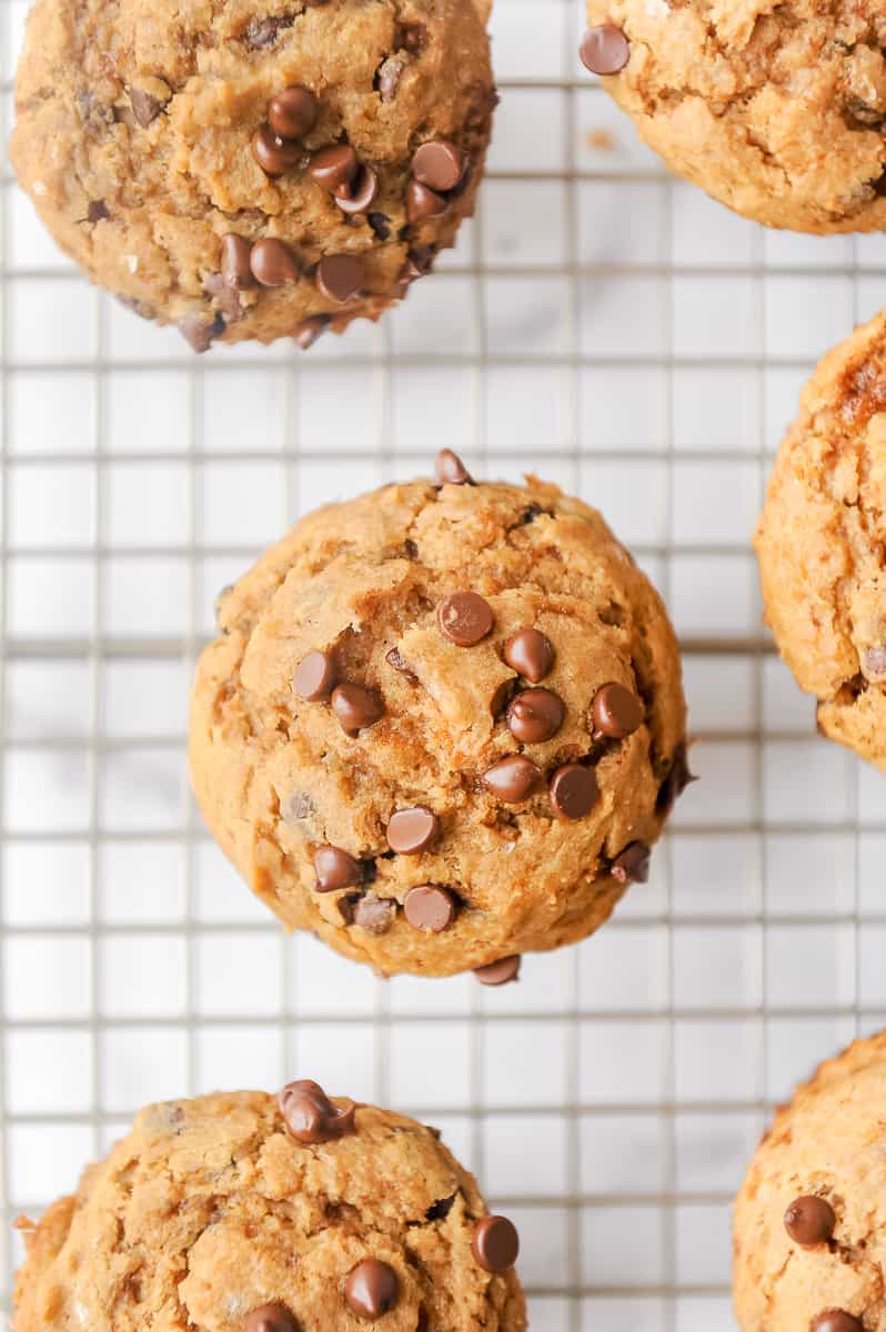muffin with chocolate chips