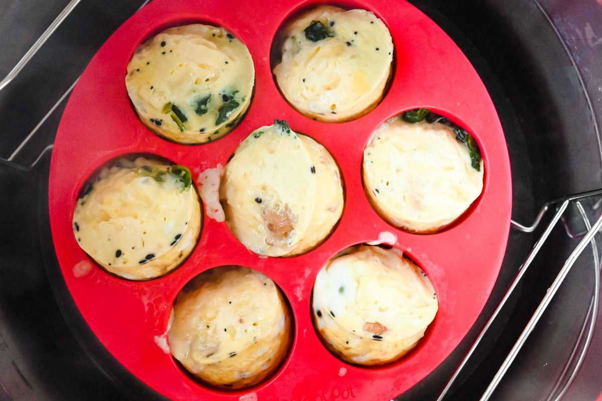 cooked homemade egg bites in the instant pot in a red silicone egg mold.