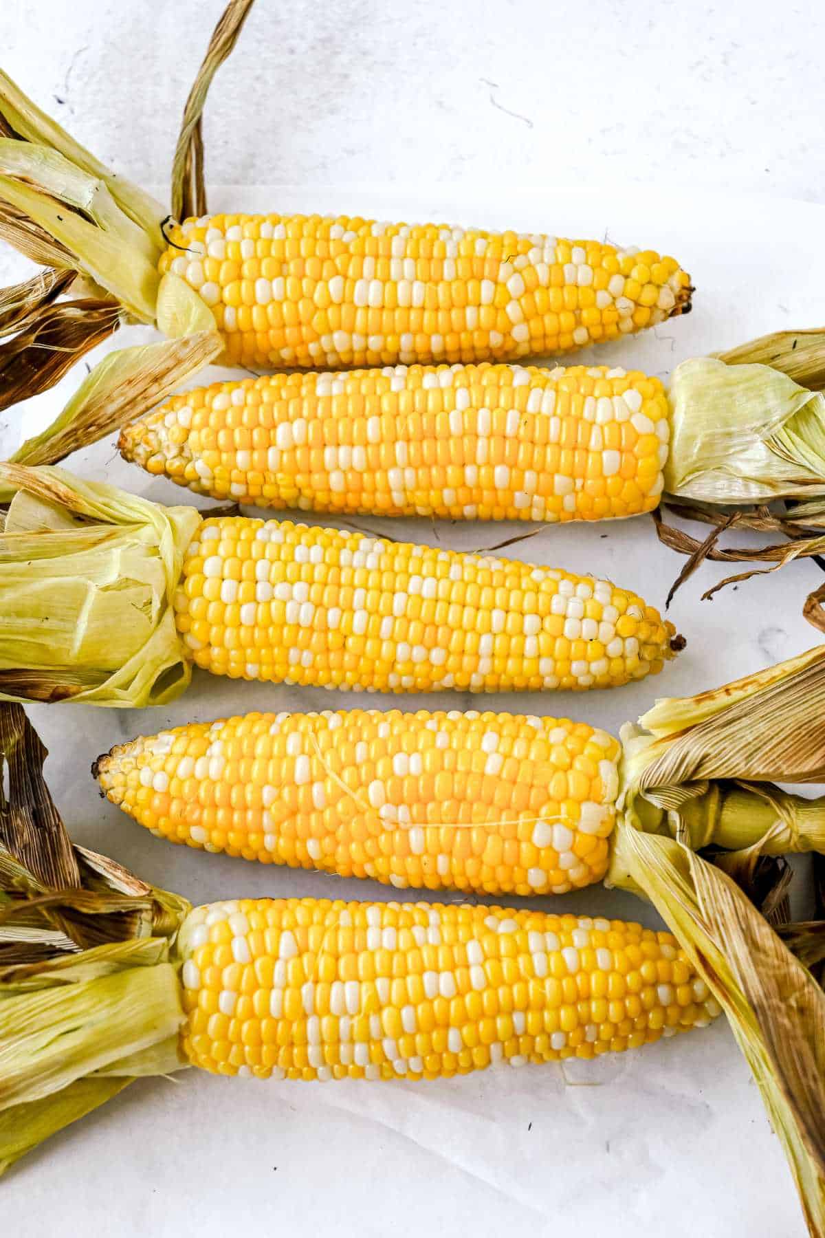 ears of corn with husks pulled back on a white background.