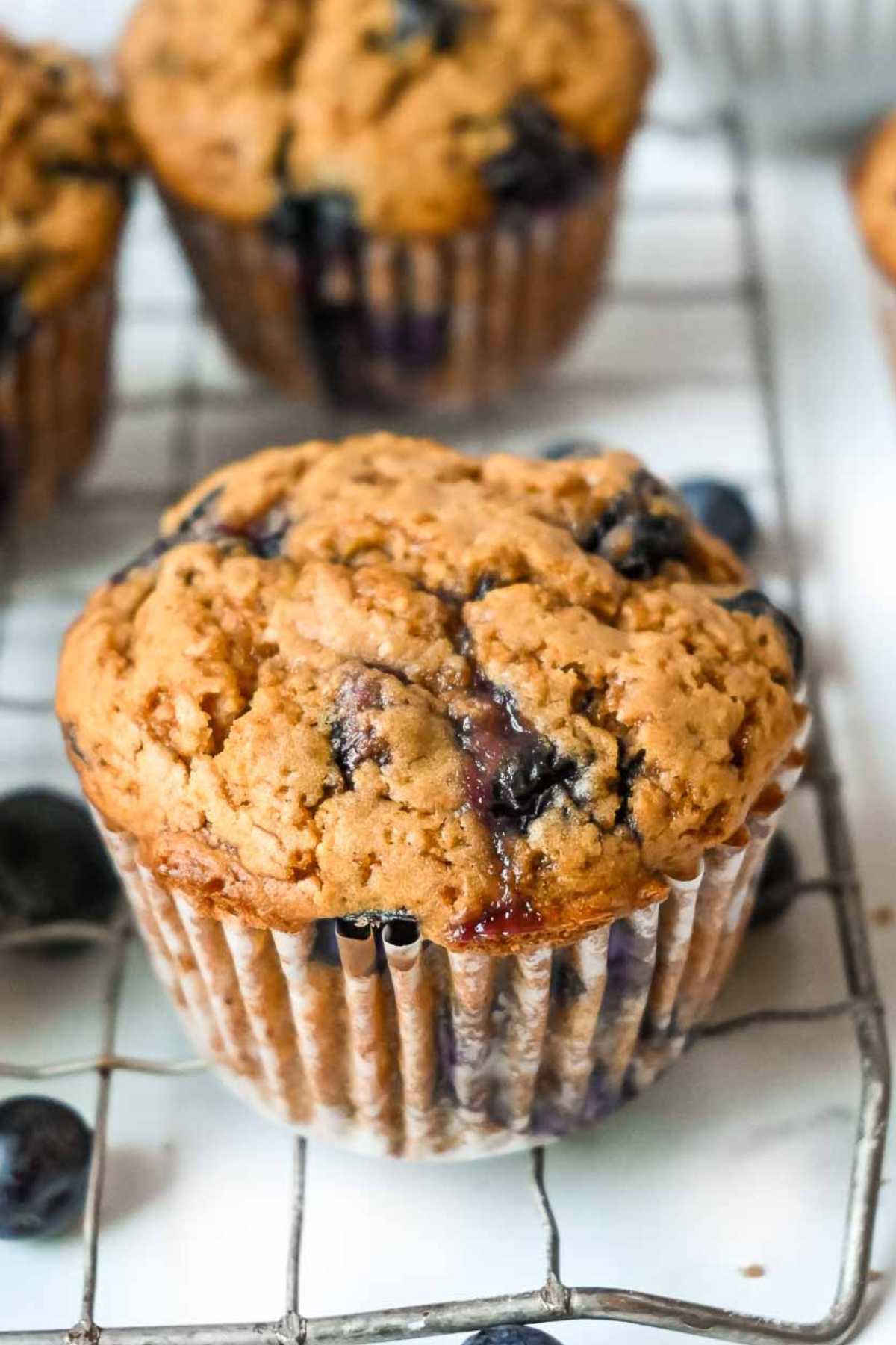 protein blueberry muffins on a cooling rack with blueberries around them and one blueberry protein muffin in the foreground.