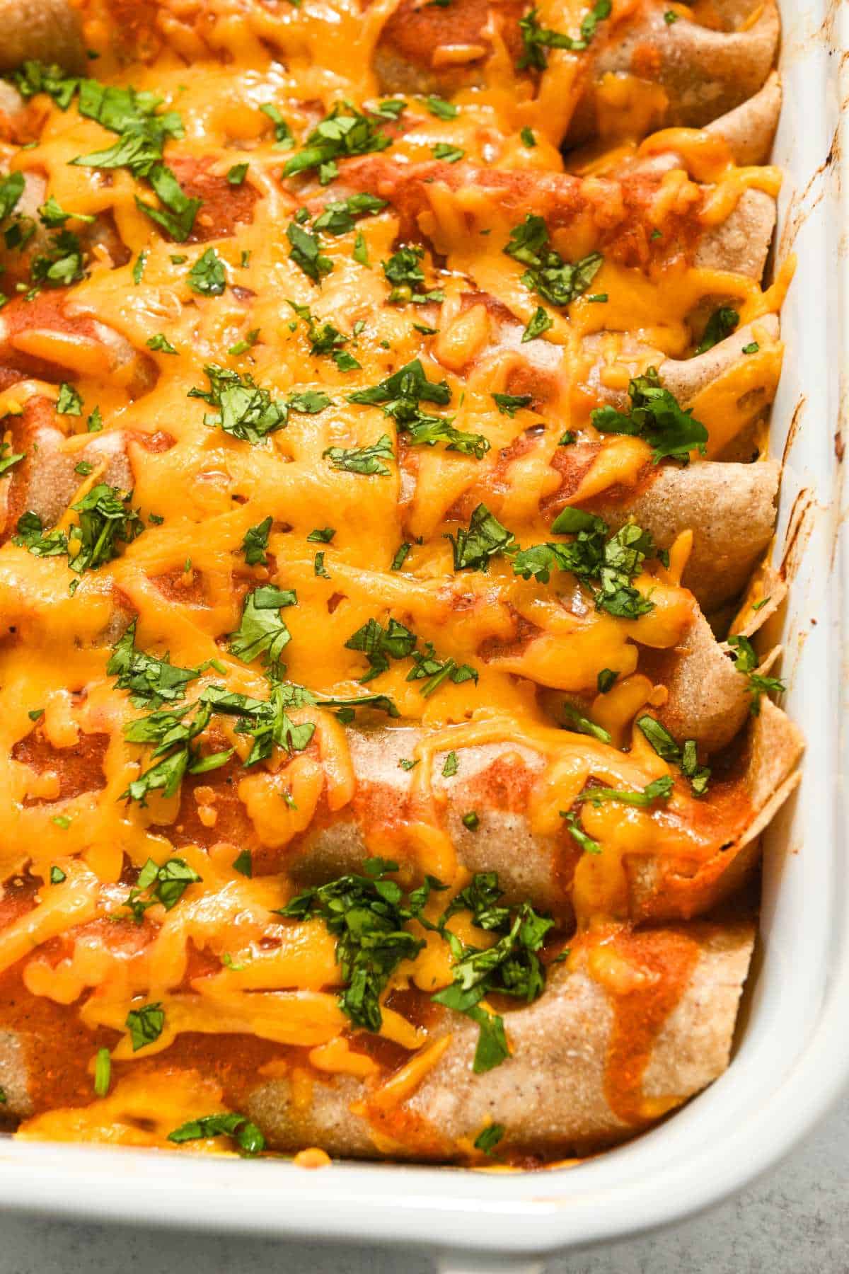 close up of ground chicken enchiladas topped with cheese and cilantro in a white pan.