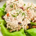 close up of cranberry chicken salad on lettuce.