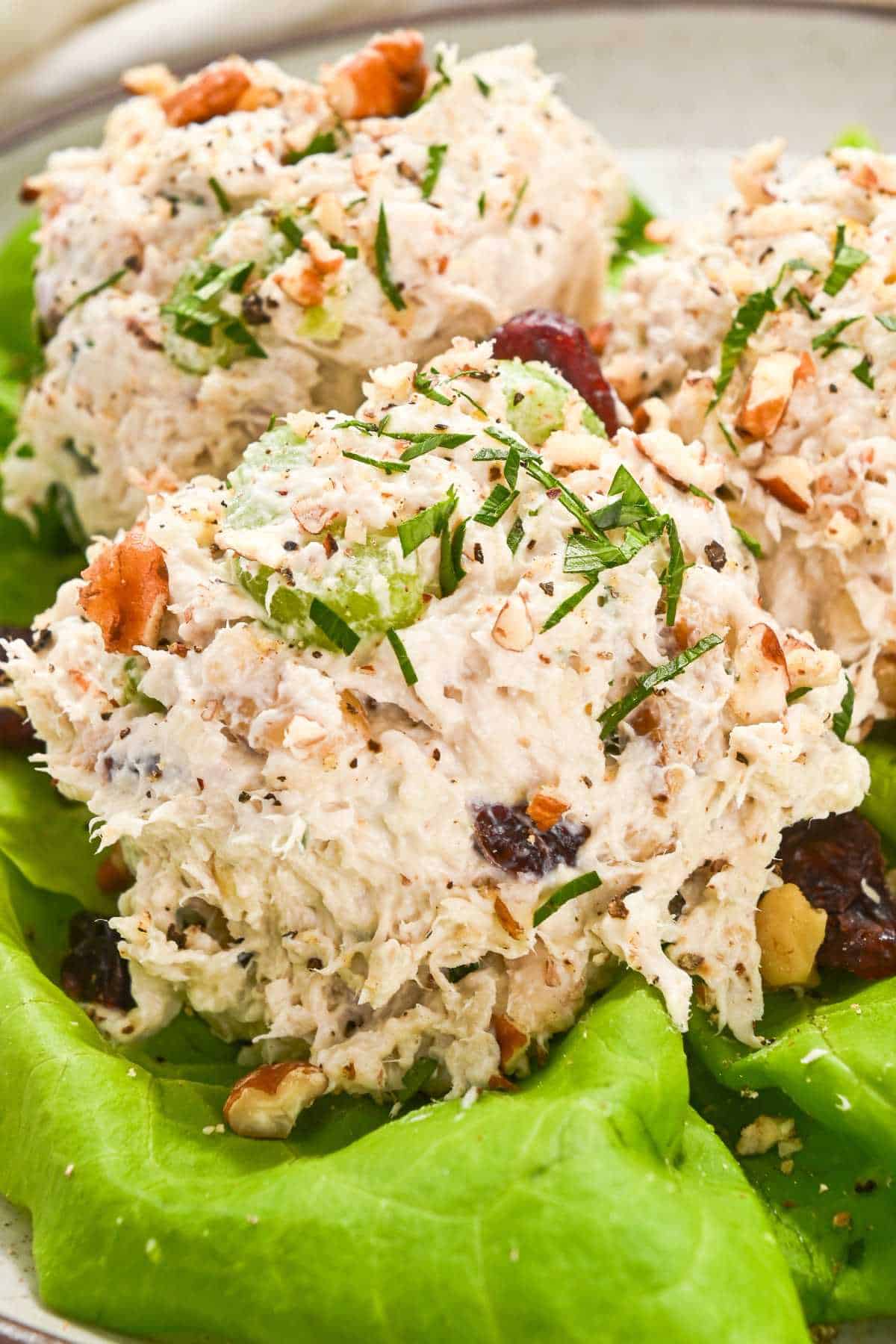 three scoops of cranberry chicken salad on a bed of lettuce.