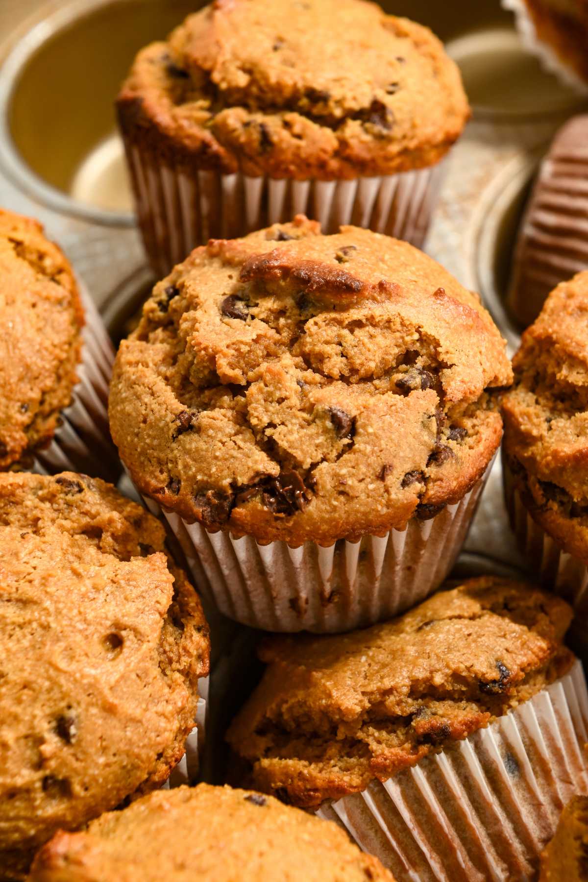 close up of a chocolate chip protein muffin.