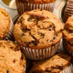 top view of a chocolate chip protein muffin.