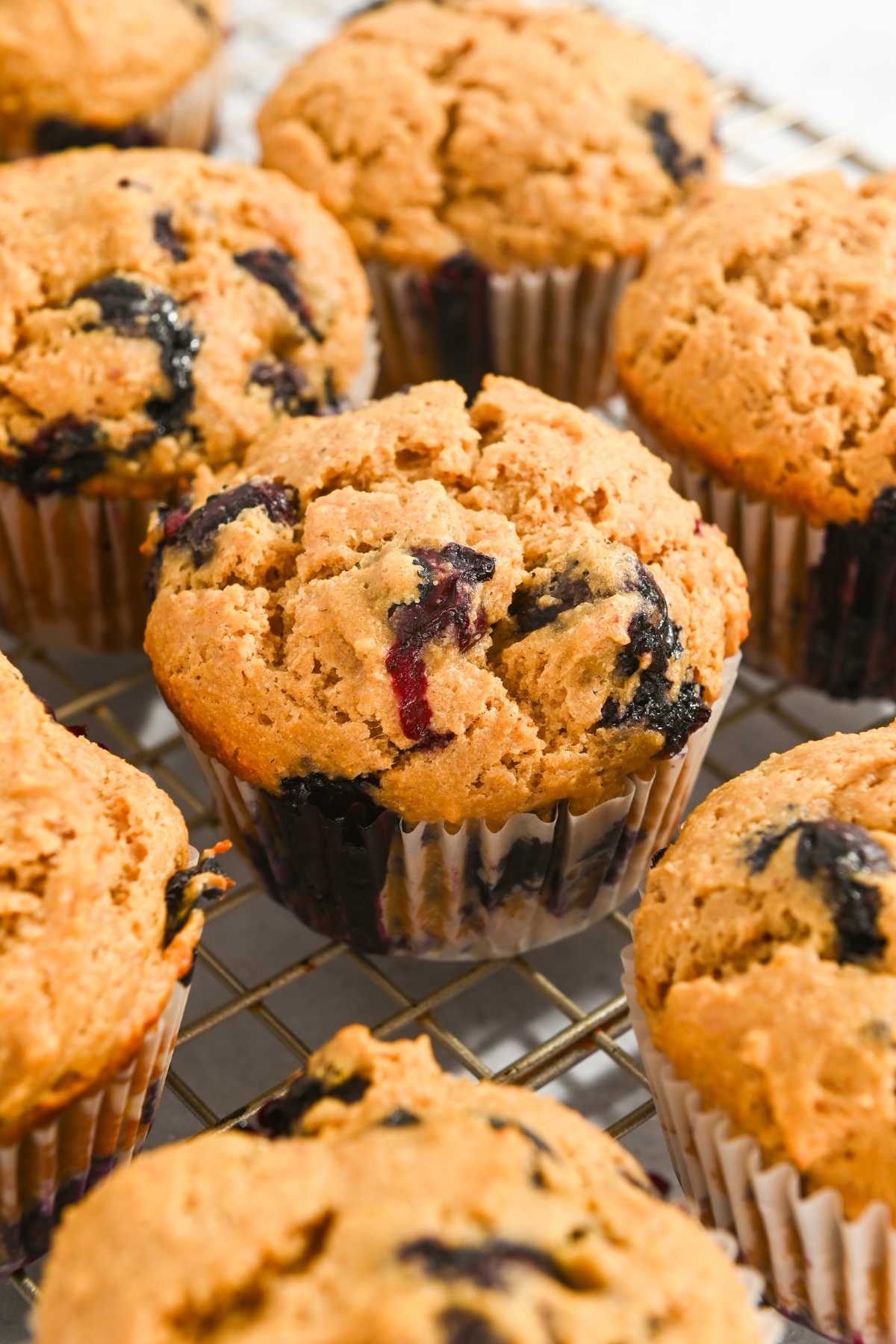 Kodiak Cakes blueberry muffin on a cooling rack with one muffin centered.