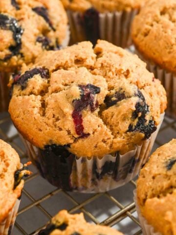 close up of a Kodiak Cakes blueberry muffin.