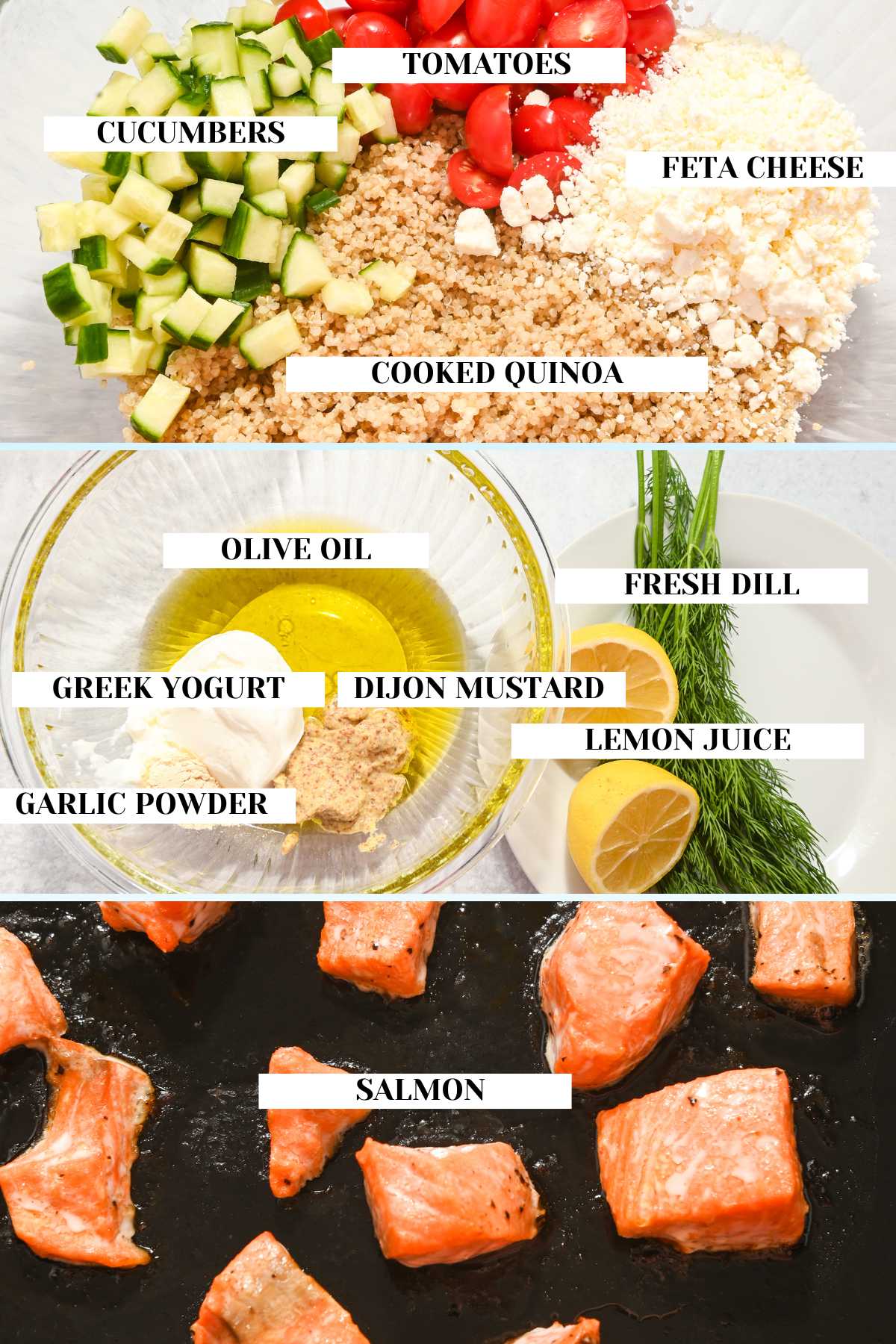labeled ingredients for a quinoa salmon salad.