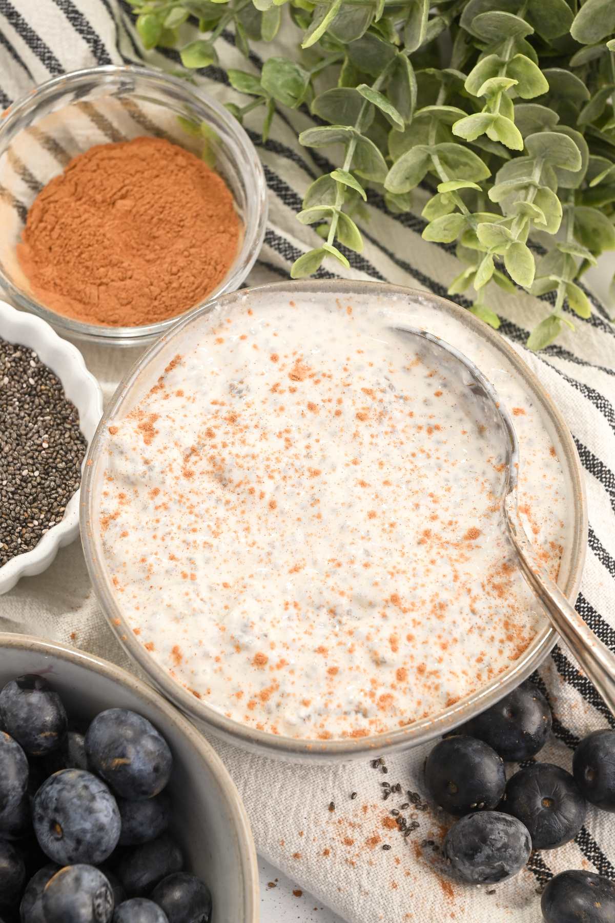 overhead view of cottage cheese chia pudding in a gray bowl with cinnamon, chia seeds, and blueberries.