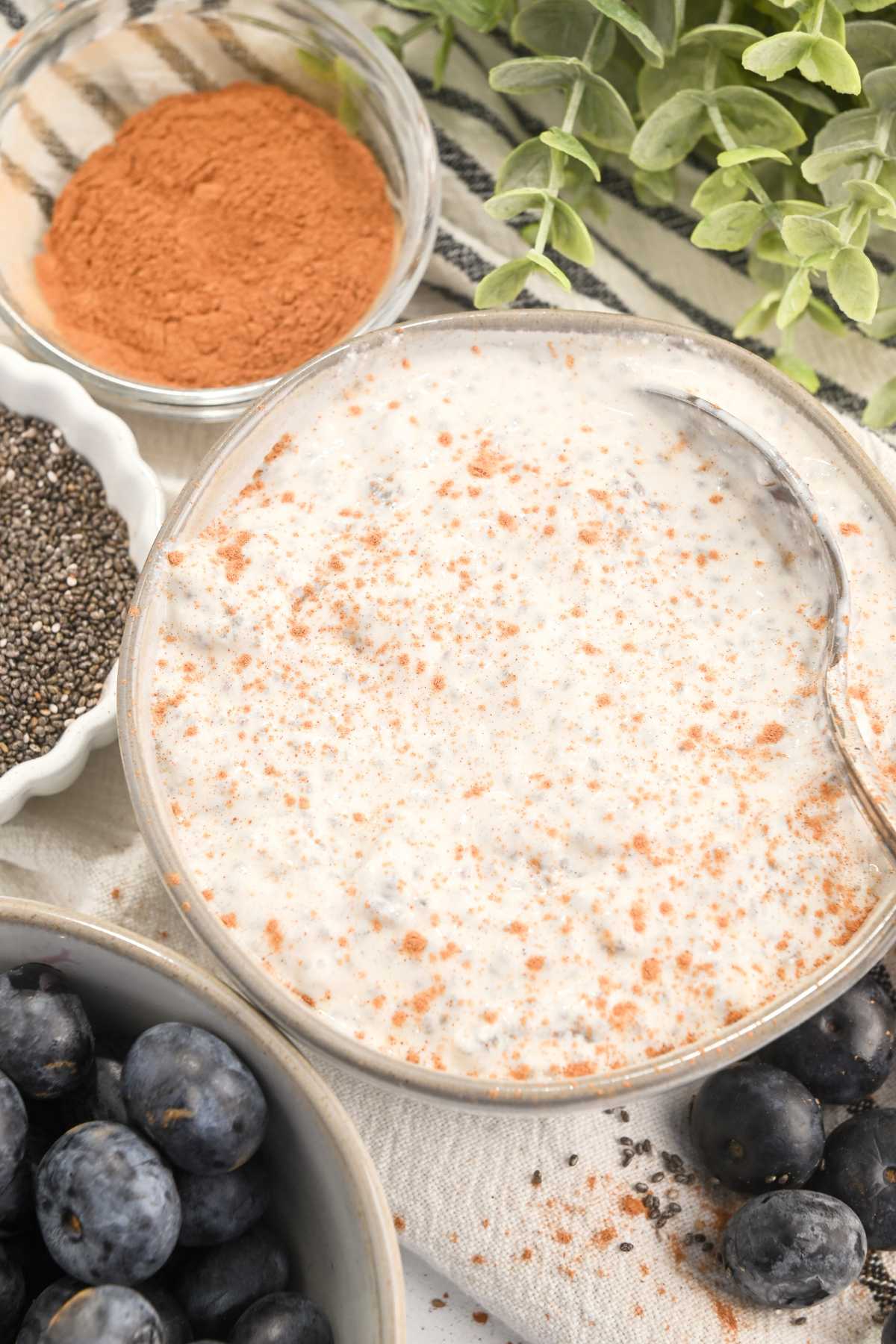 bowl of cottage cheese chia pudding on a blue and white striped towel with cinnamon, chia seeds, and blueberries in bowls next to it.